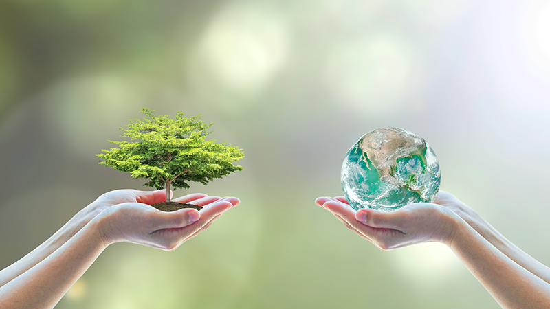 Two sets hands facing each other, one holding a tree and one holding a globe